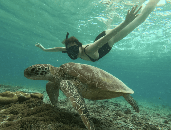 paket wisata lombok